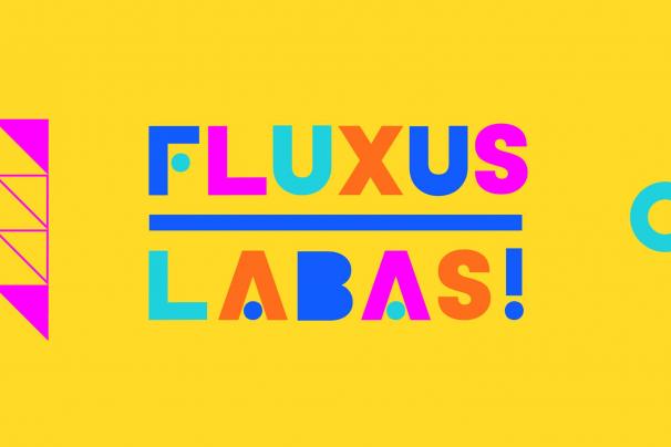 Fluxus Labas! mokymosi programa